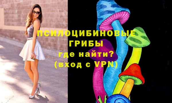 амф Алексин