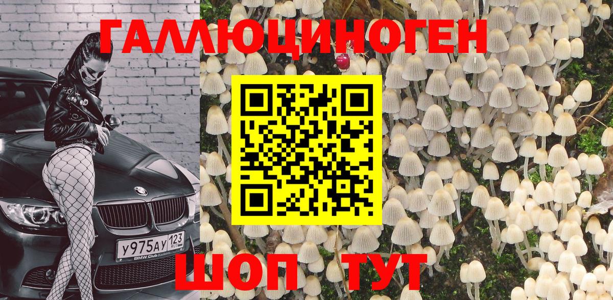 Псилоцибиновые грибы прущие грибы  Галлюциногенные грибы мухоморы  Мичуринск  Вход с VPN 