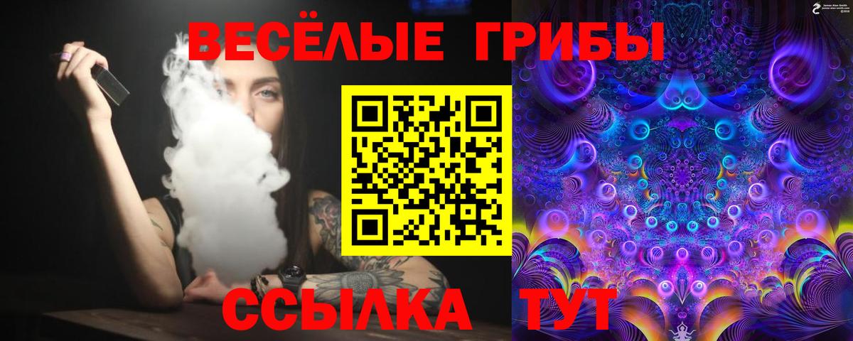 Галлюциногенные грибы мухоморы Мичуринск